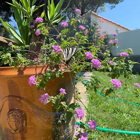 Villa Maison Familiale En Occitanie Nevian