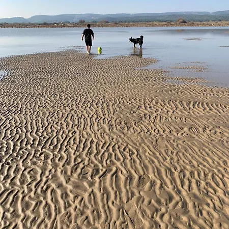 Villa Maison Familiale En Occitanie