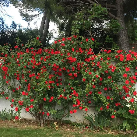 Maison Familiale En Occitanie *